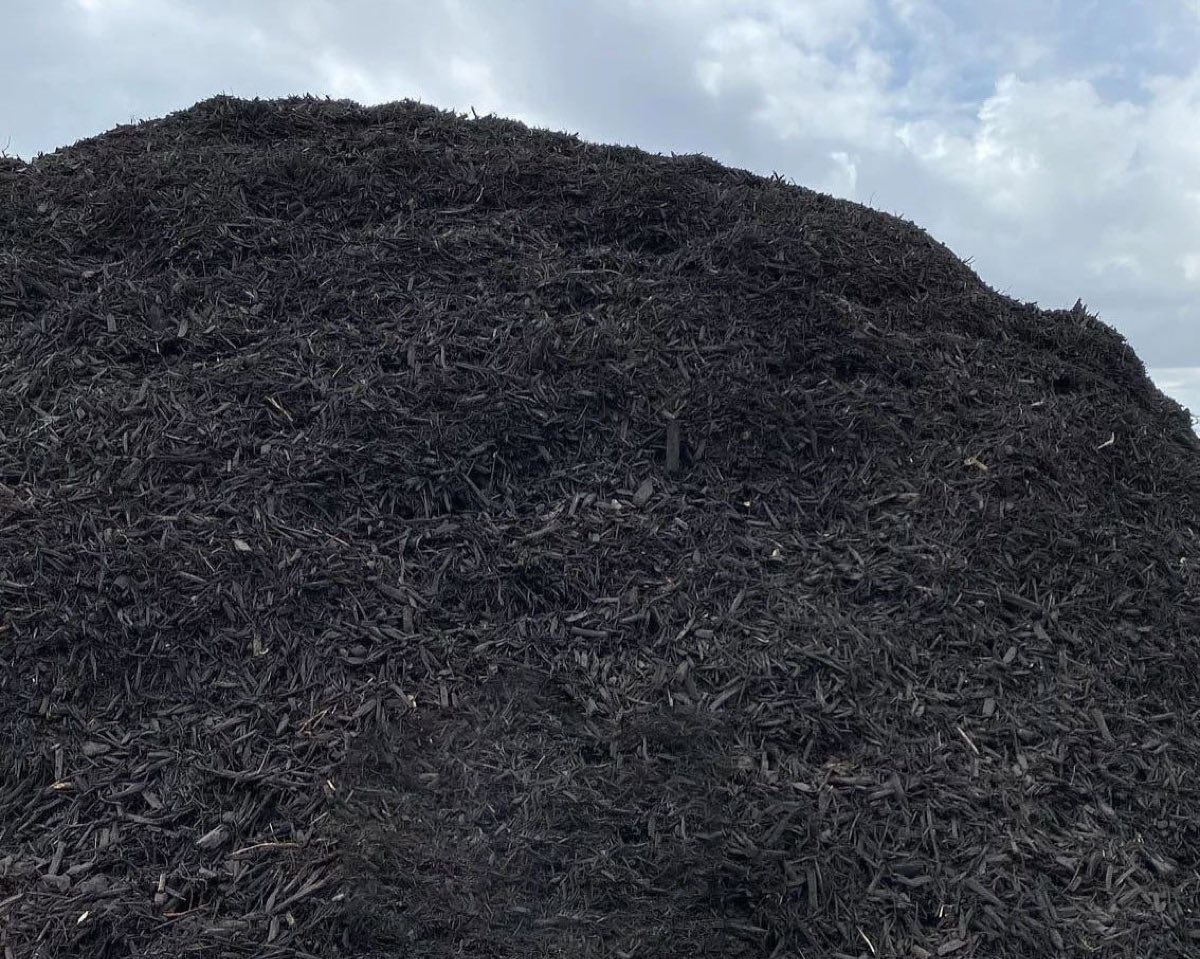 A long mound of black dyed mulch under an open sky