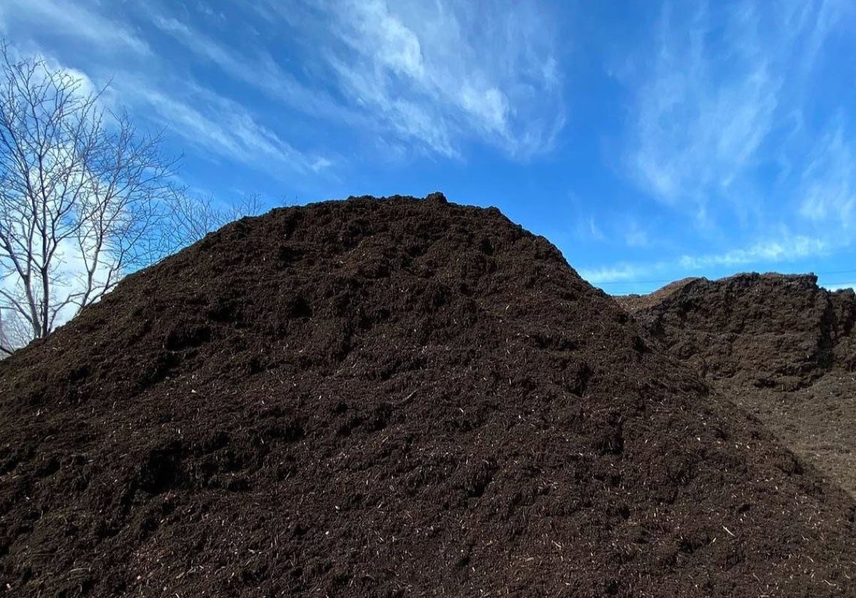 A tall mound of dark rich compost against a blue sky