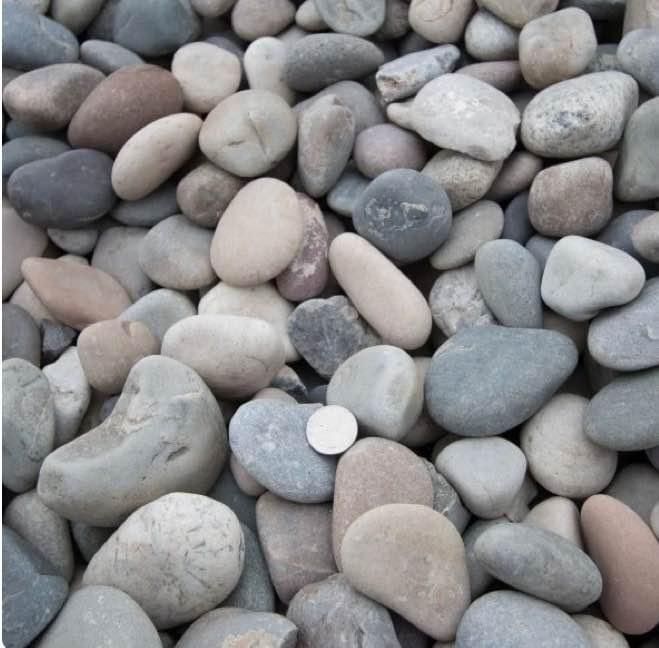 Washed round squeegee pea gravel in soft greys and tans, with a coin for scale